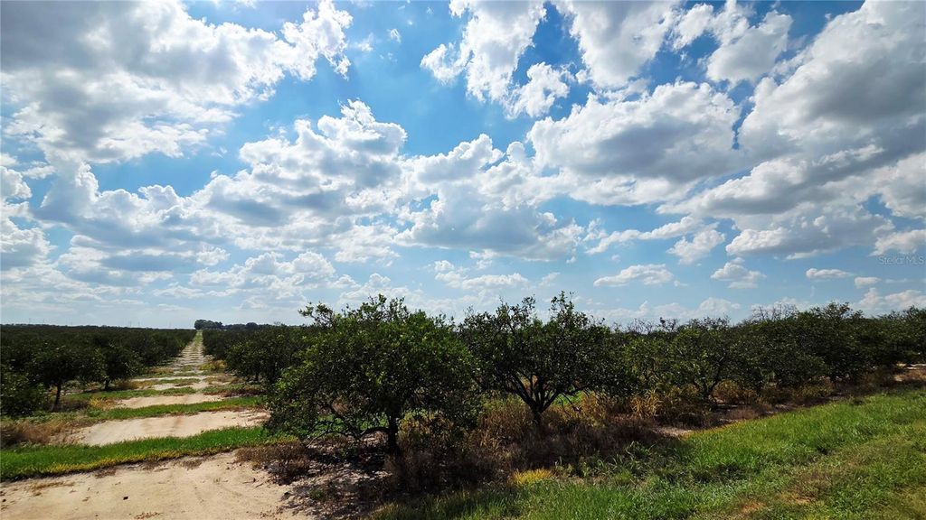 Photo of 0 Seminole Road, Babson Park, FL 33827 (MLS # OM727326)