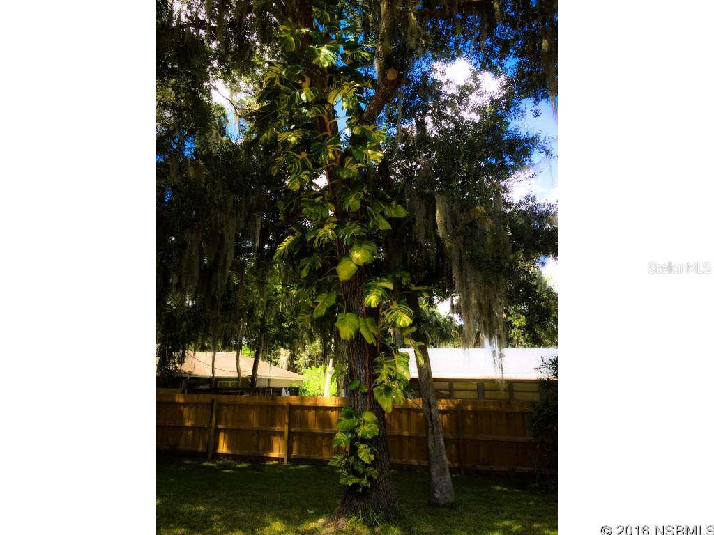 Florida Shores 01 - Residential