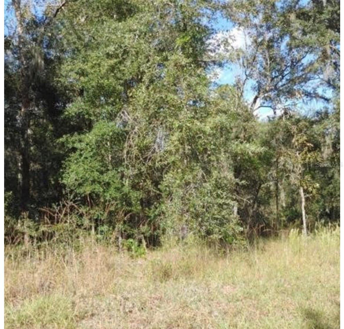 .26 ACRES BUILDABLE LOT, LOCATED IN GROWING SUB DIVISION OF RAINBOW LAKES ESTATES WITH NEW AND EXITING CONSTRUCTION HOMES.LOCATED NEAR DUNNELLON,OCALA AND RAINBOW LAKES SPRING RIVER.NO HOA, PRIVATE BOAT RAMP AVAILABLE.CLOSE TO SHOPPING,RESTAURANT AND ENTRETAINMENT.(Seller motivate call for more info or text .)The seller has two more lots available to buy all three together, a discount will be given and it would be handled in a single transaction.