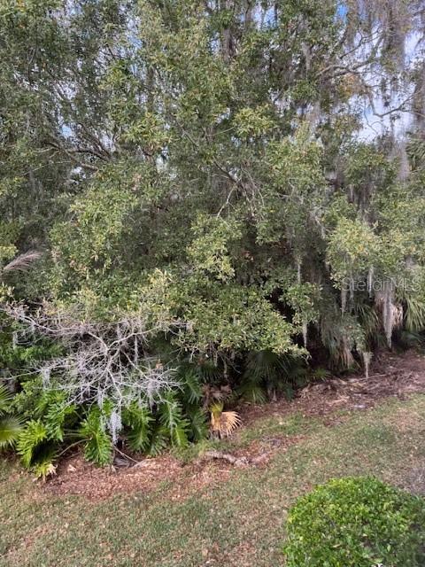 EAST LAKE WOODLANDS CYPRESS ESTATES - Residential Lease