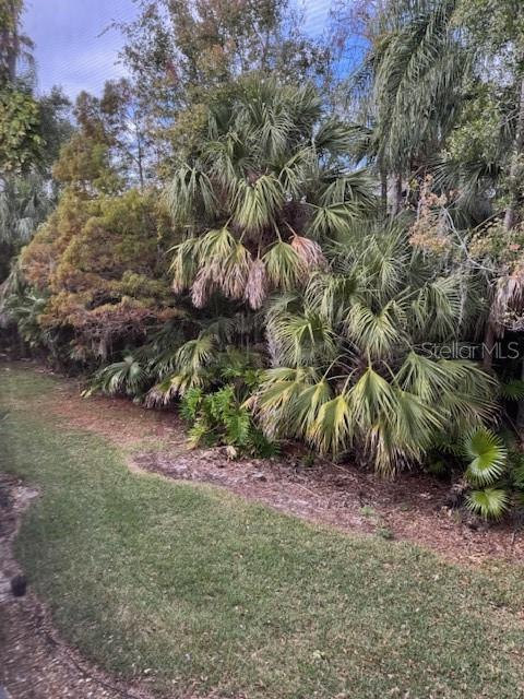 EAST LAKE WOODLANDS CYPRESS ESTATES - Residential Lease