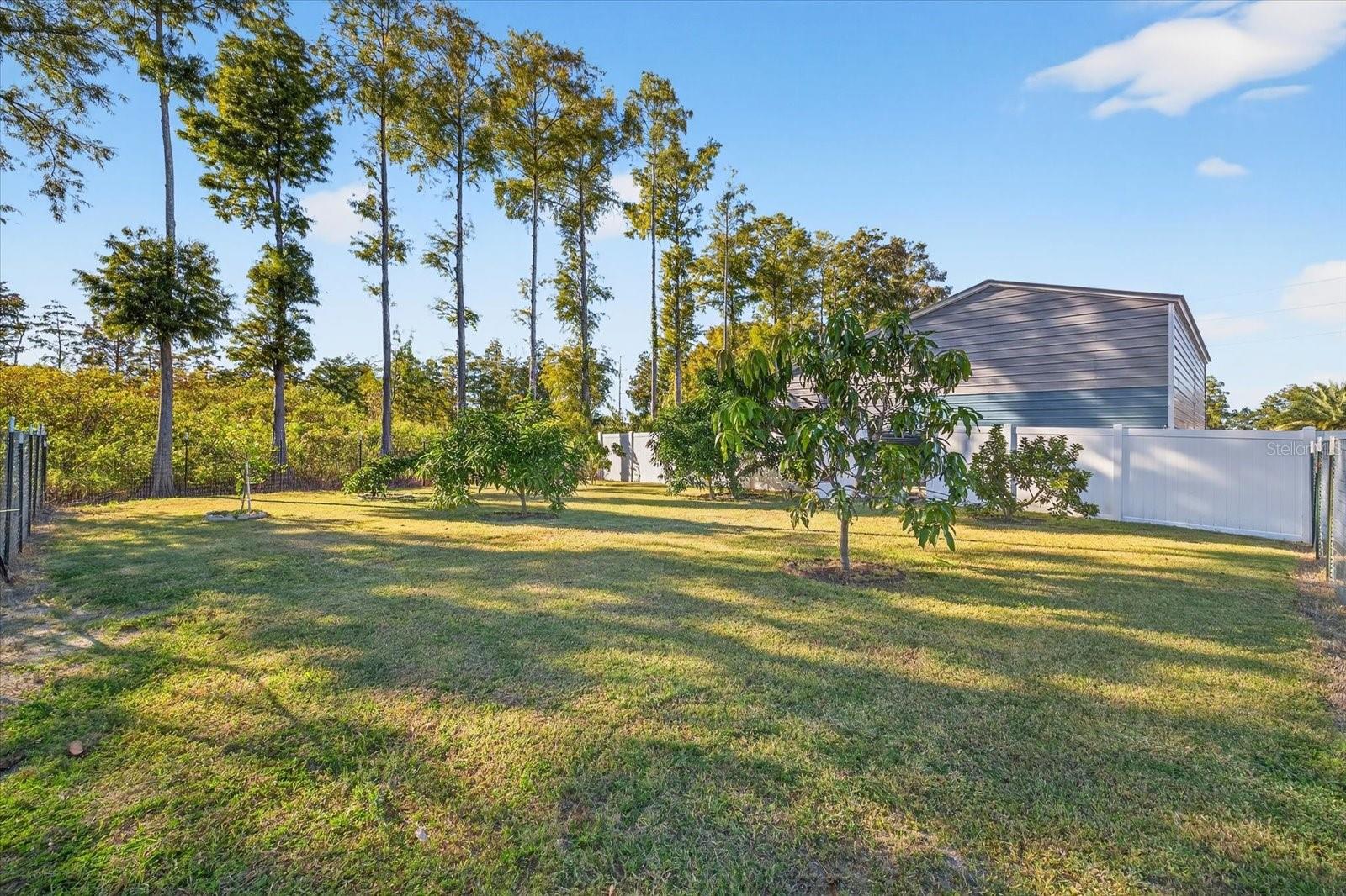 C00 | RABB ESTATES - Residential