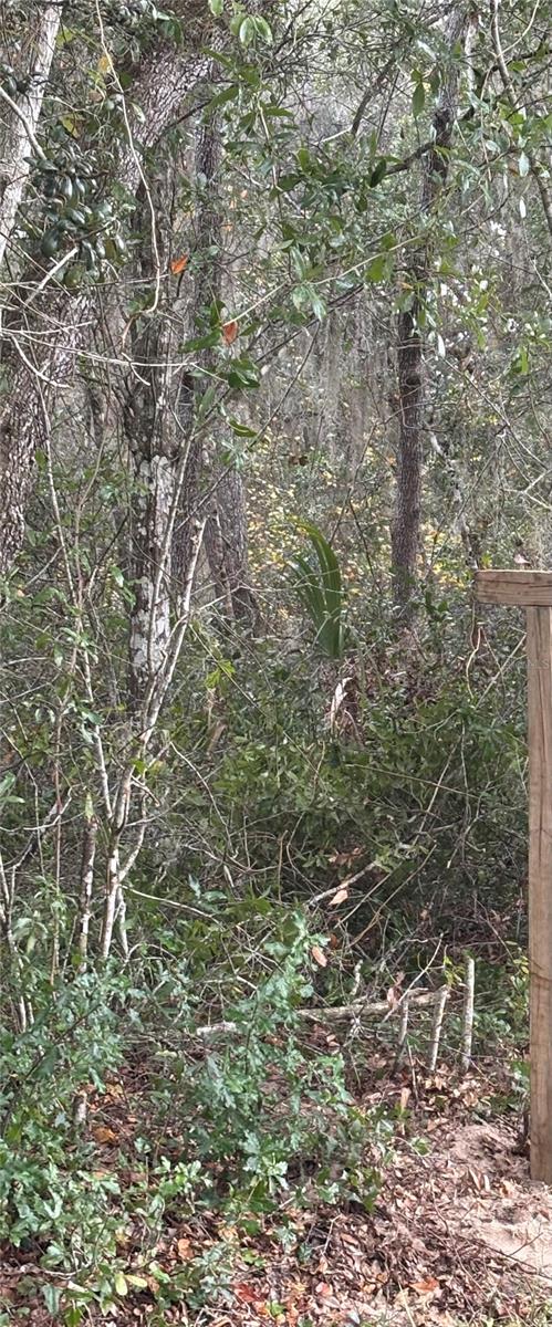 PONCE DE LEON SPGS TERRACE - Land