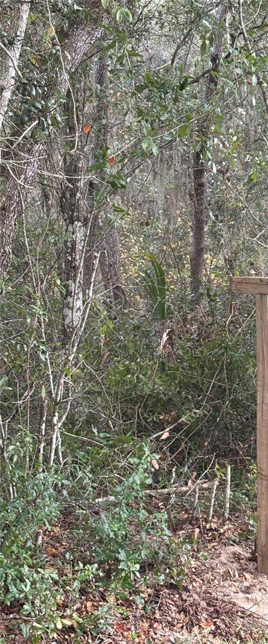 This beautiful lot is on a quiet neighborhood with a lovely countryside looking. New constructions going on in the area very close to the lot. 
*** This lot is zoned agricultural but can be changed to residential ***