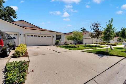 A home in RIVERVIEW