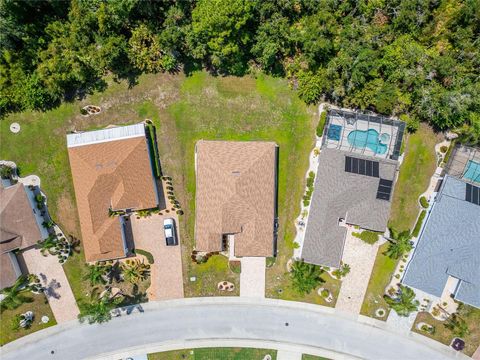 A home in SUN CITY CENTER