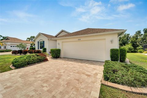 A home in SUN CITY CENTER