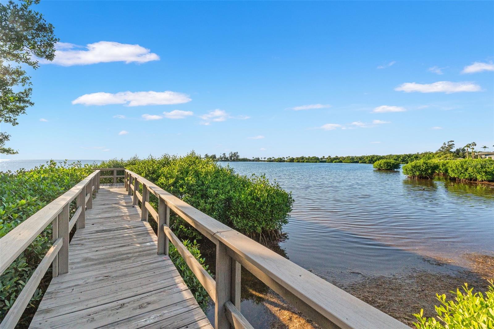 SUNSET SHORES OF TARPON A CONDO - Residential