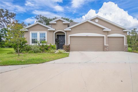 Photo of 14069 Wineberry Drive, Dade City, FL 33525 (MLS # W7879050)