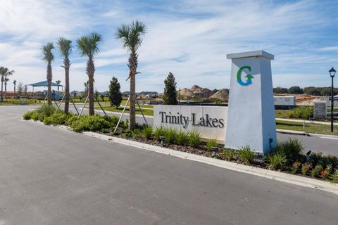 Tiny photo for 7036 Rolling Leaf Road, Groveland, FL 34736 (MLS # O6396961)