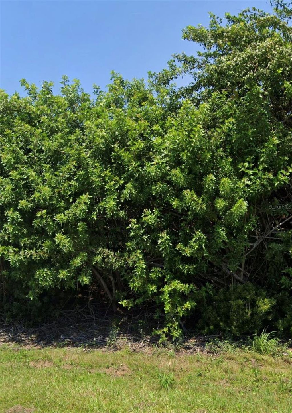 Photo of 11082 Carnegie Avenue, Englewood, FL 34224 (MLS # U8207230)