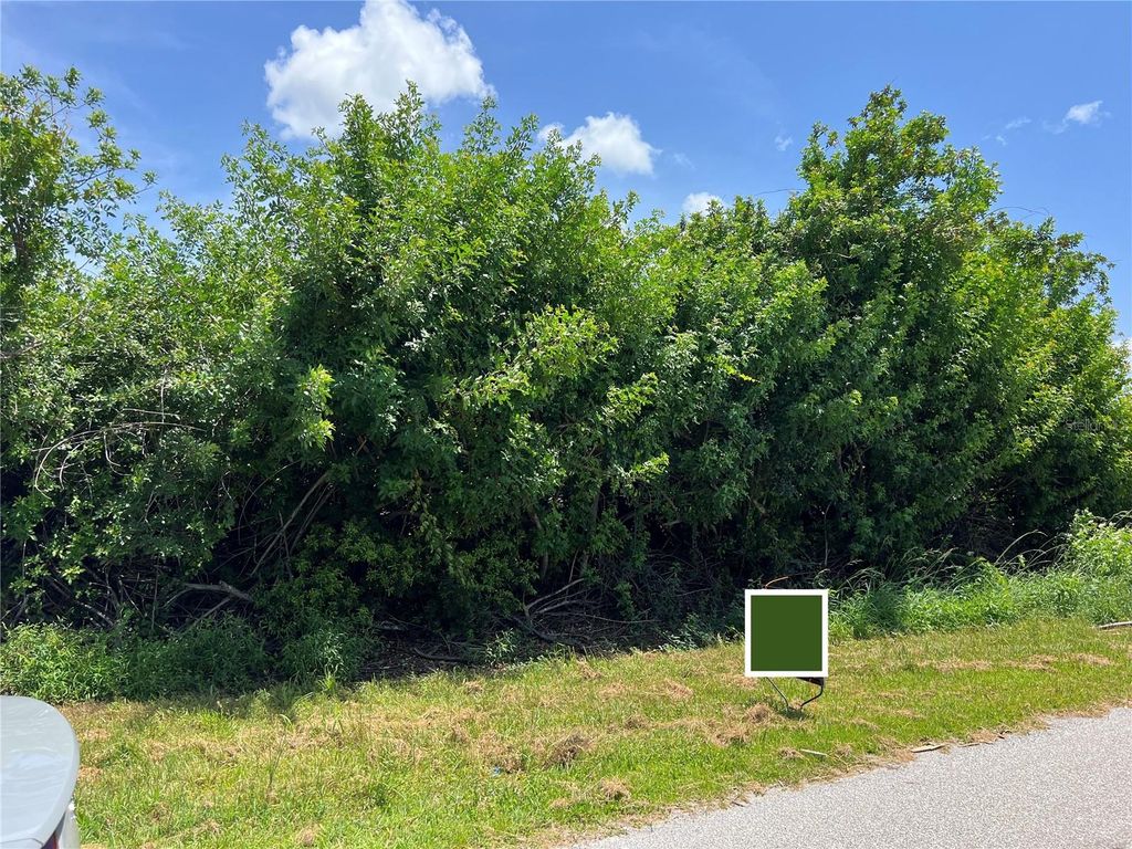 Photo of 11082 Carnegie Avenue, Englewood, FL 34224 (MLS # U8207230)