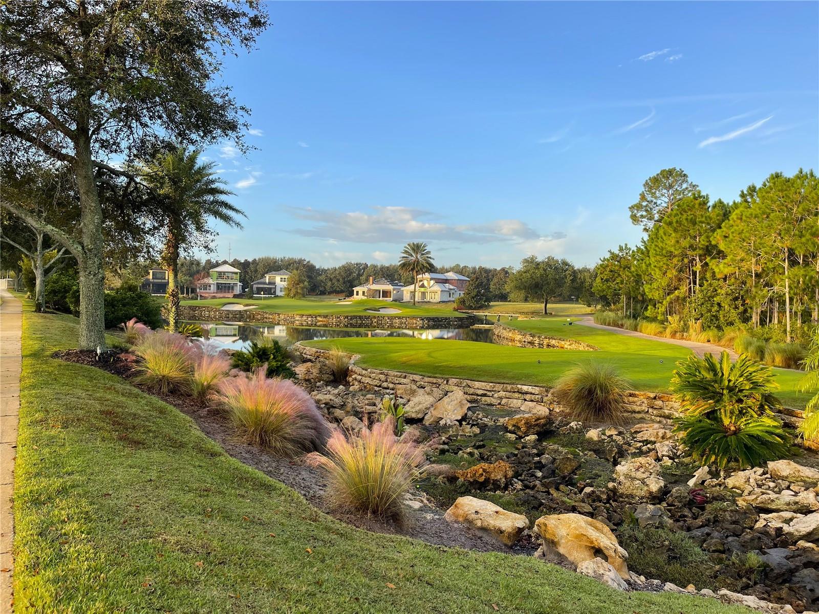 CONSERVATORY/HAMMOCK BEACH - Land