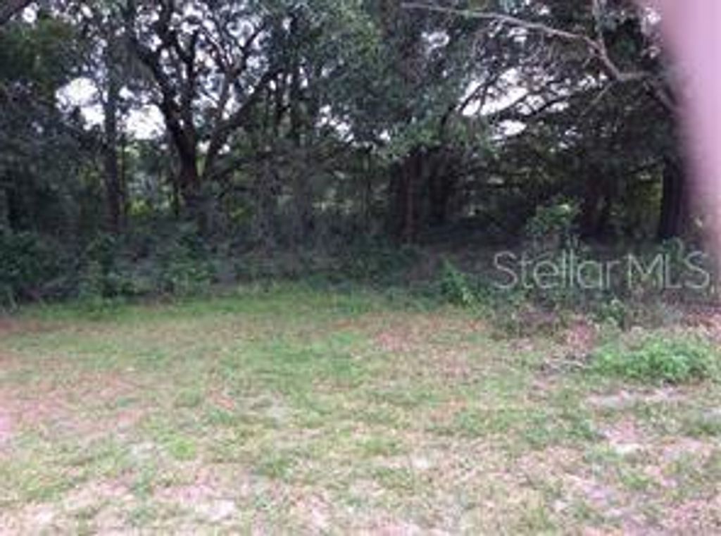 Photo of 709 S Rooks Avenue, Inverness, FL 34453 (MLS # U8166851)