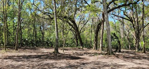 62ac NW 193RD ST MICANOPY FL 32667