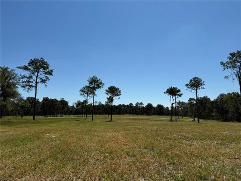 Tiny photo for 62 NW 193rd St, Micanopy, FL 32667 (MLS # OM688556)