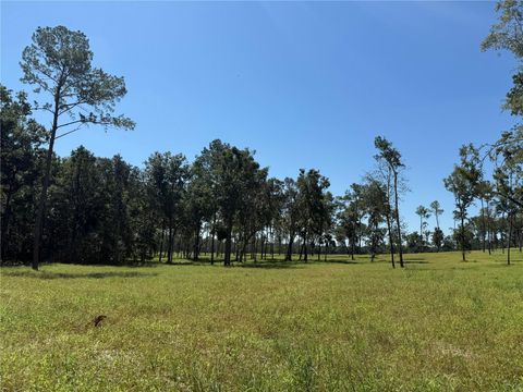Tiny photo for 62 NW 193rd St, Micanopy, FL 32667 (MLS # OM688556)