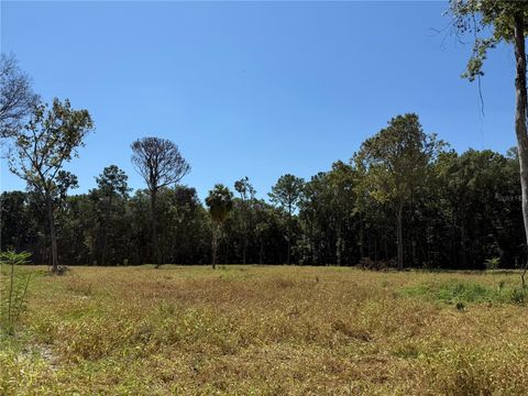 Tiny photo for 62 NW 193rd St, Micanopy, FL 32667 (MLS # OM688556)
