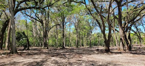 Tiny photo for 62 NW 193rd St, Micanopy, FL 32667 (MLS # OM688556)