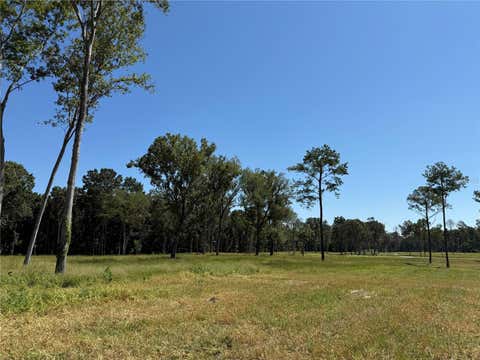 Tiny photo for 62 NW 193rd St, Micanopy, FL 32667 (MLS # OM688556)