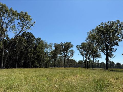 Tiny photo for 62 NW 193rd St, Micanopy, FL 32667 (MLS # OM688556)
