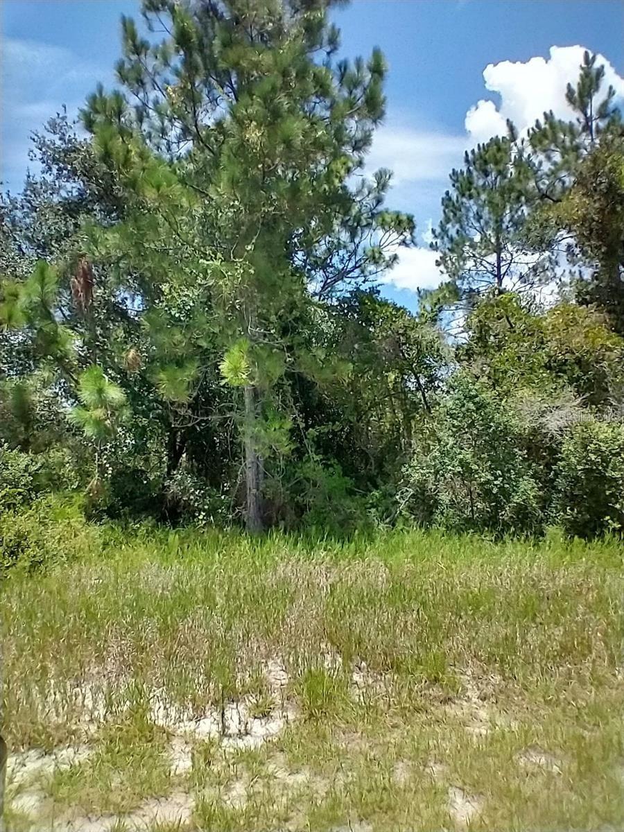 POINCIANA NBRHD 02 WEST VILLAGE 07 - Land