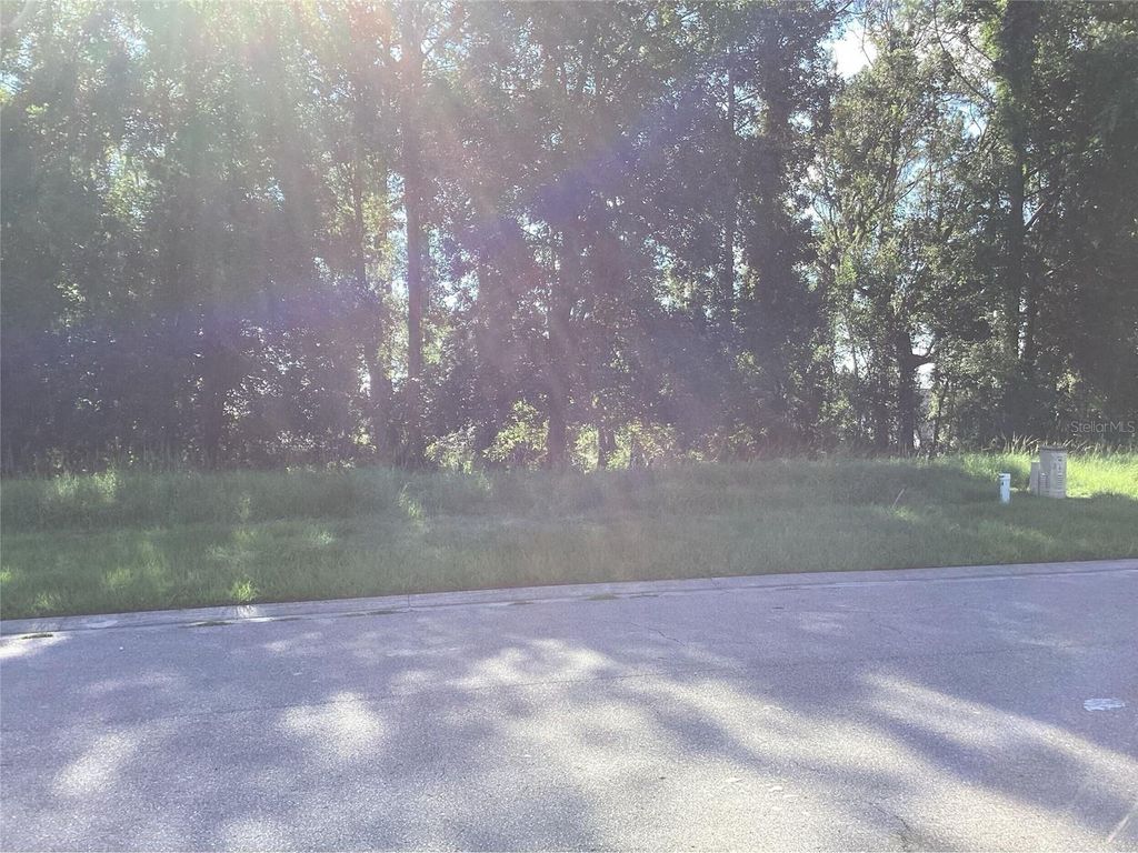 Photo of 4589 Majestic Hills Loop, Brooksville, FL 34601 (MLS # L4958931)