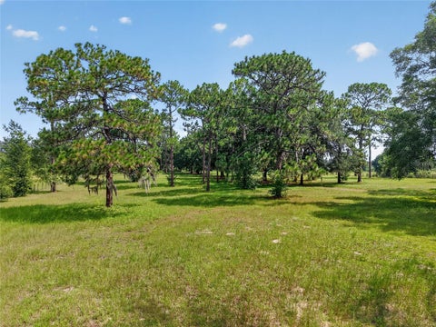 Tiny photo for 7555 SW 77th Place, Ocala, FL 34476 (MLS # OM729431)