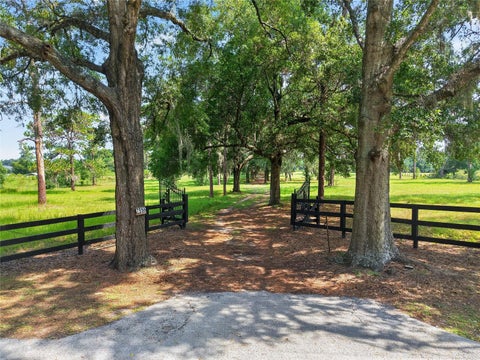 Tiny photo for 7555 SW 77th Place, Ocala, FL 34476 (MLS # OM729431)