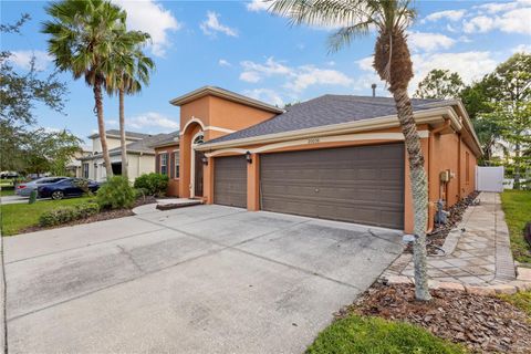 20036 BLUFF OAK BOULEVARD TAMPA FL 33647