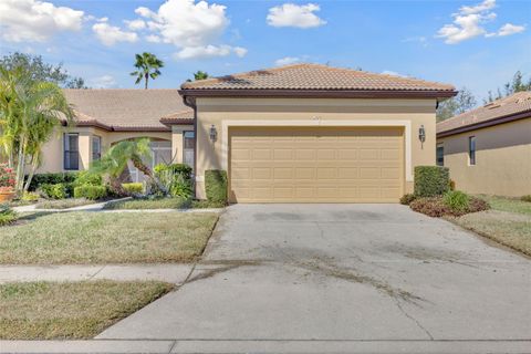 A home in APOLLO BEACH