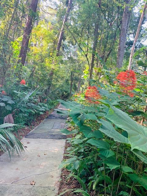 SHEOAH SEC 3 - Residential Lease