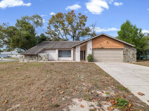 Photo of 2469 Anchor Avenue, Spring Hill, FL 34608 (MLS # W7881415)