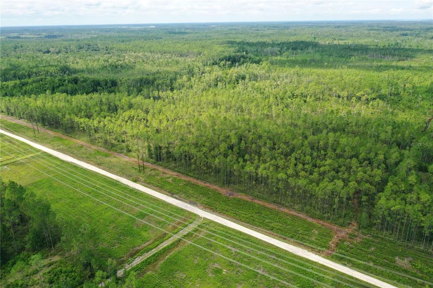 Prime recreational acreage or homesite opportunity on 10± acres in NE Marion County! Tract #5 features a balanced mix of uplands and lowlands, creating excellent wildlife habitat and natural diversity. With planted pine rows, a relatively flat topography, unmatched privacy, and A1 (Agricultural) Zoning this property offers the perfect canvas for your dream homesite or a secluded recreational retreat. Ideally located just minutes from the Ocklawaha River, several lakes, and the Ocala National Forest, outdoor recreation and natural beauty are right at your doorstep. This parcel adjoins six other land offerings and may be purchased individually, combined, or as part of the entire assemblage. Truly one of the best-priced 10+ acre tracts in all of Marion County! OWNER FINANCING AVAILABLE — 30-year amortization, 10-year balloon, 10% interest, $10,000 down-payment, monthly payment: $615.00, no prepayment penalty, buyer to pay all closing costs.