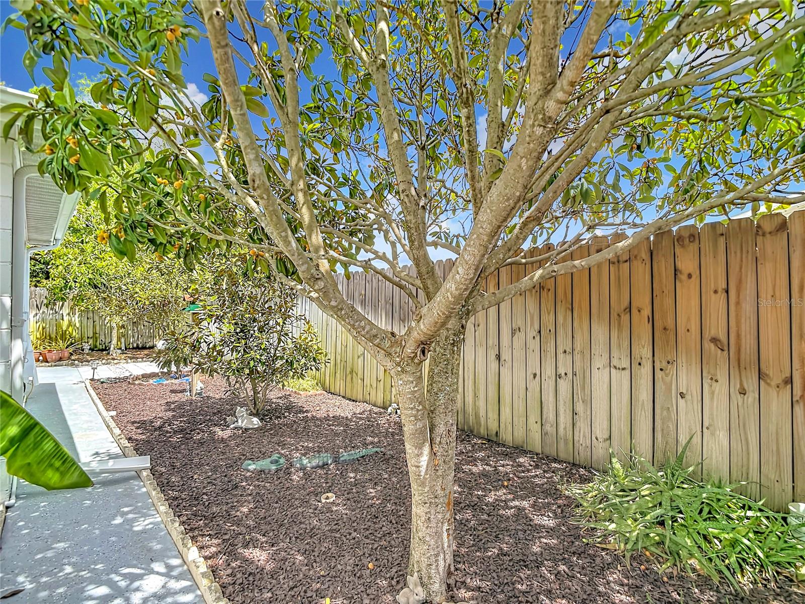 PALM TERRACE GARDENS - Residential