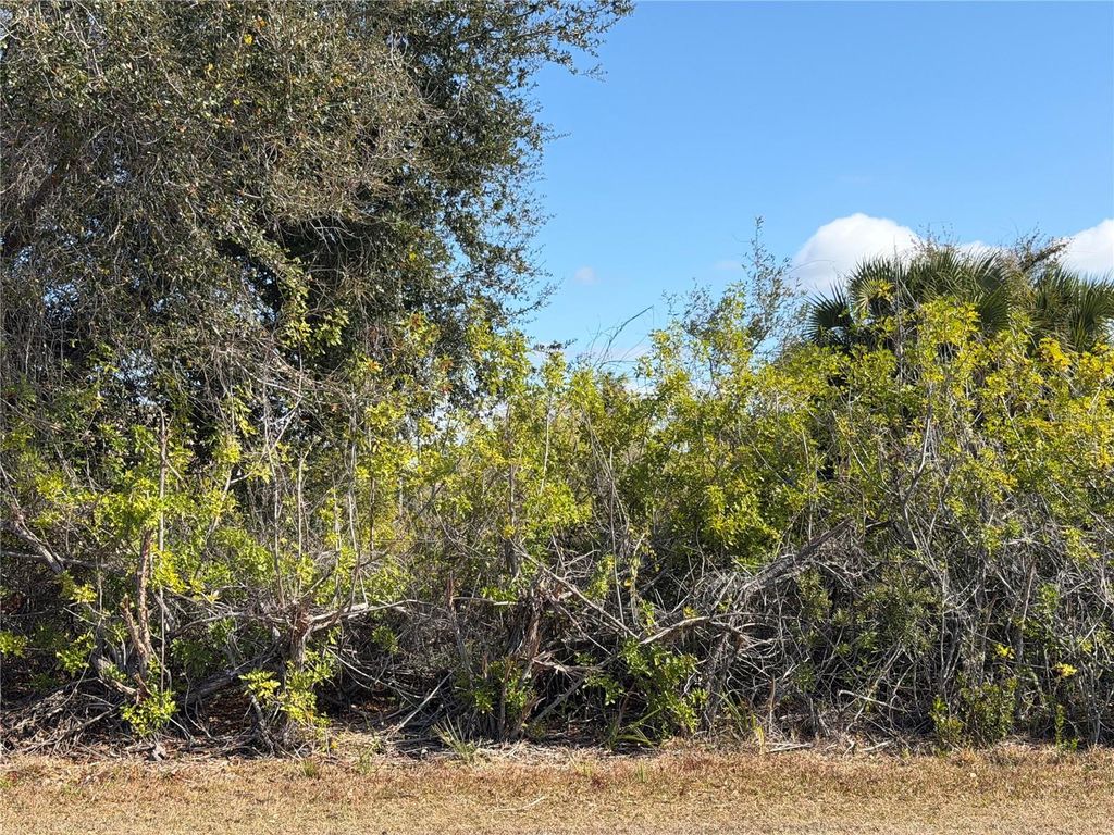 Photo of 14366 Edsel Drive, Port Charlotte, FL 33981 (MLS # A4683416)