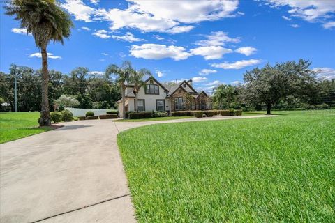 Tiny photo for 3940 SE 39th Circle, Ocala, FL 34480 (MLS # OM706223)