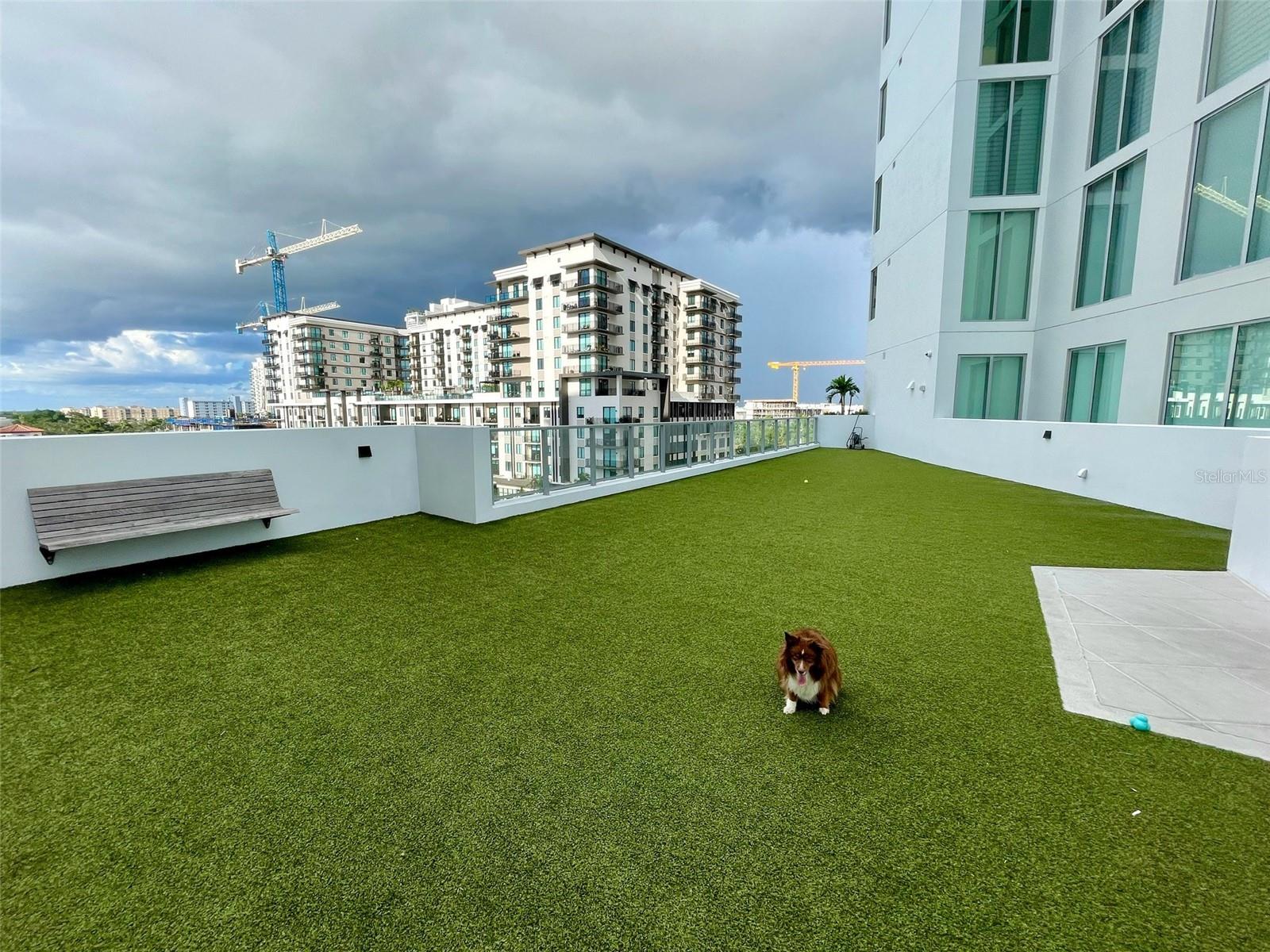 BAYSO SARASOTA - Residential