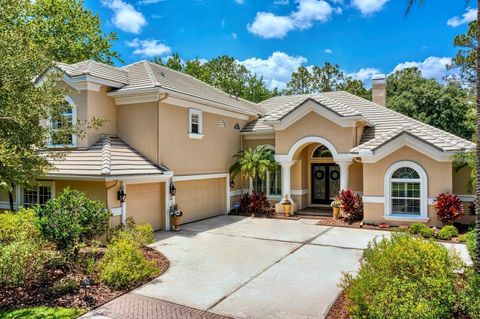 Photo of 16423 Burniston Drive, Tampa, FL 33647 (MLS # TB8437329)