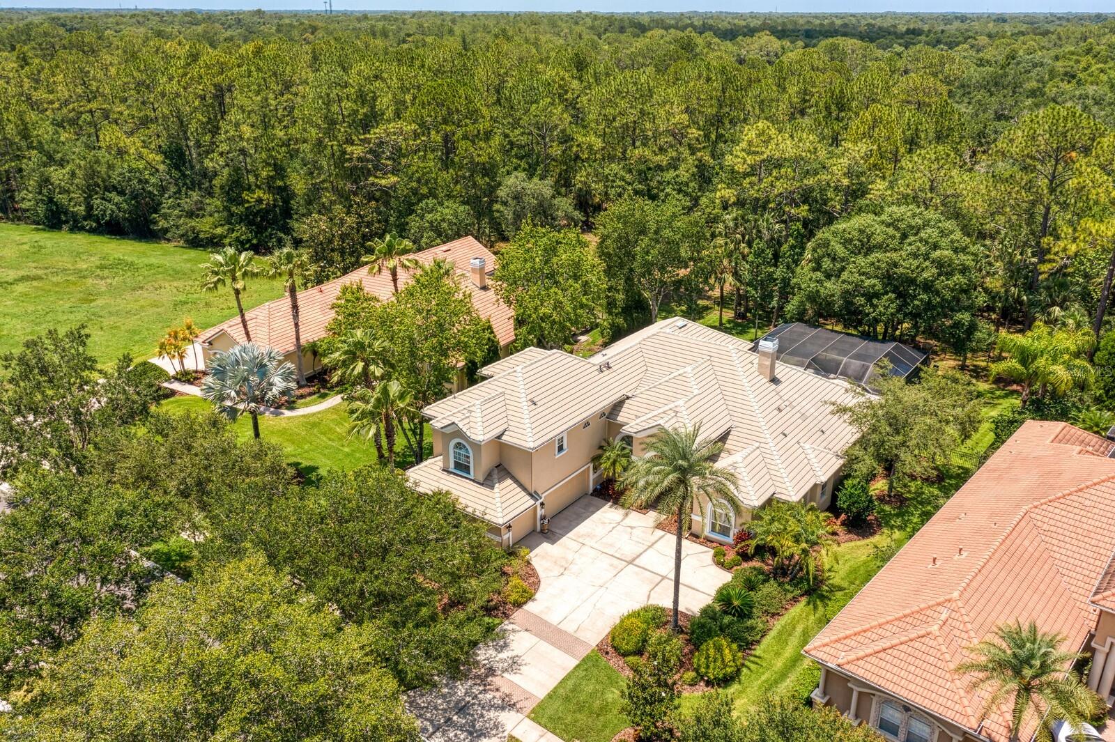 TAMPA PALMS AREA 4 PRCL 16 - Residential