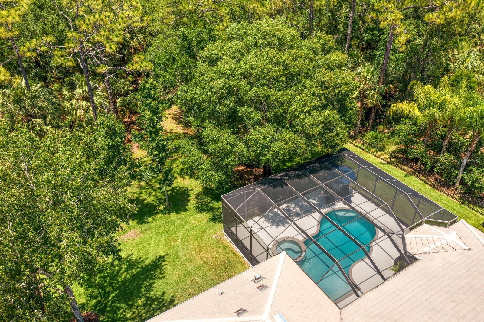 TAMPA PALMS AREA 4 PRCL 16 - Residential