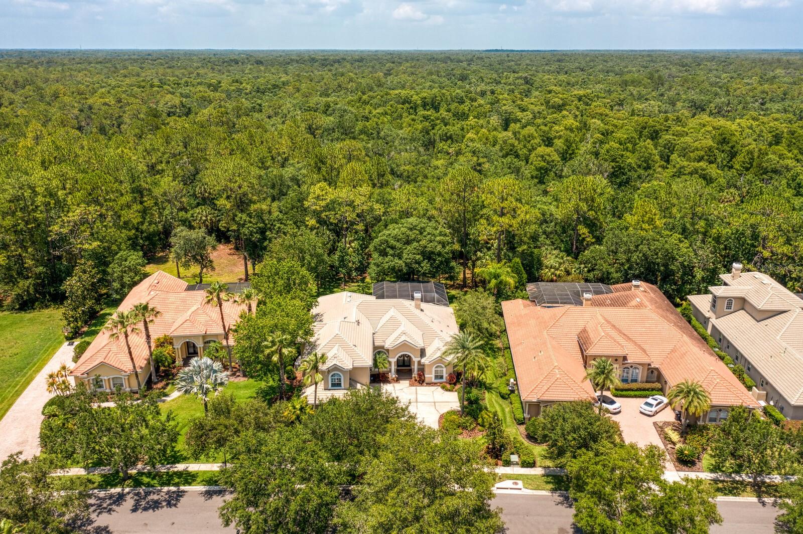 TAMPA PALMS AREA 4 PRCL 16 - Residential