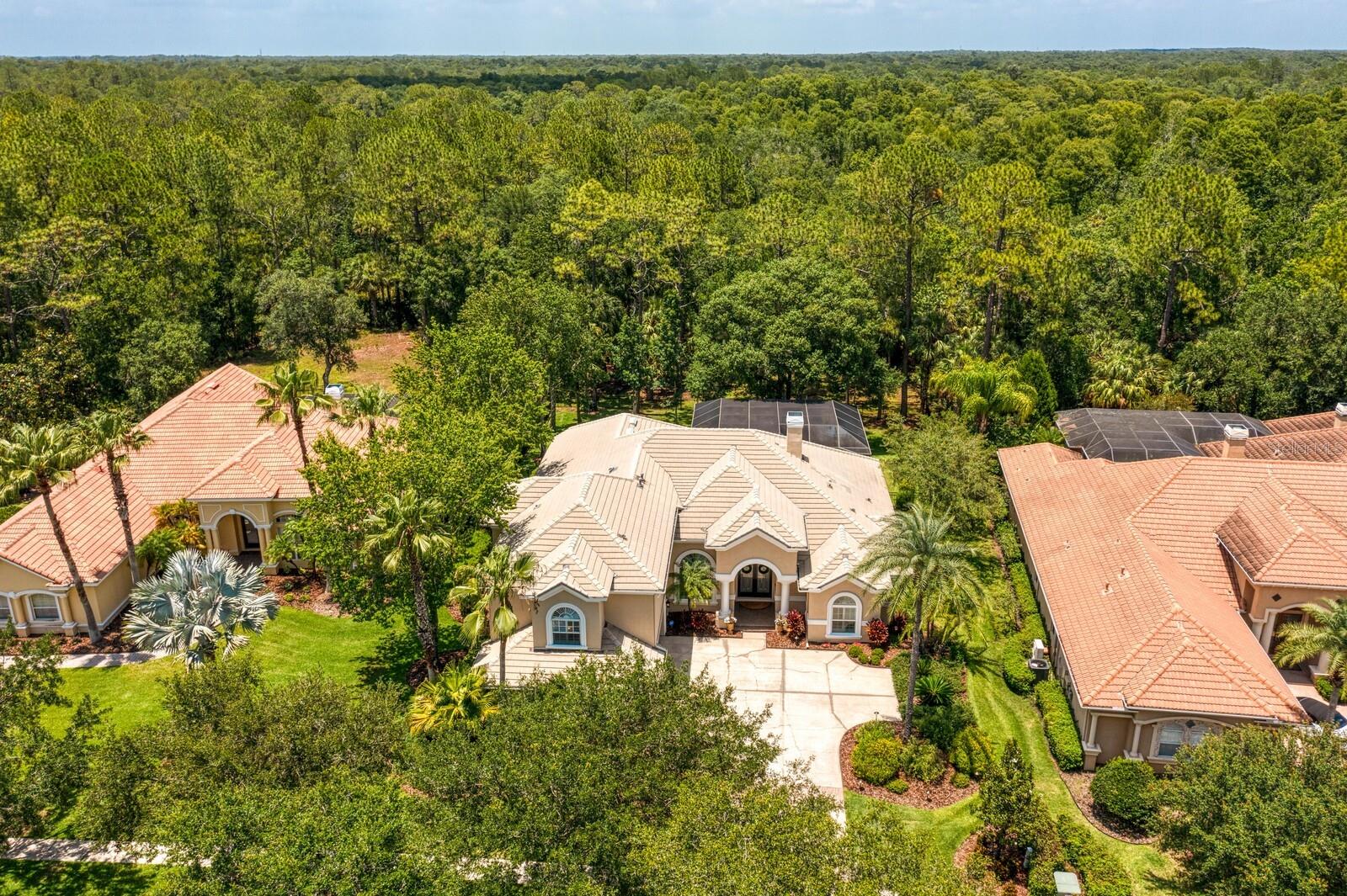 TAMPA PALMS AREA 4 PRCL 16 - Residential