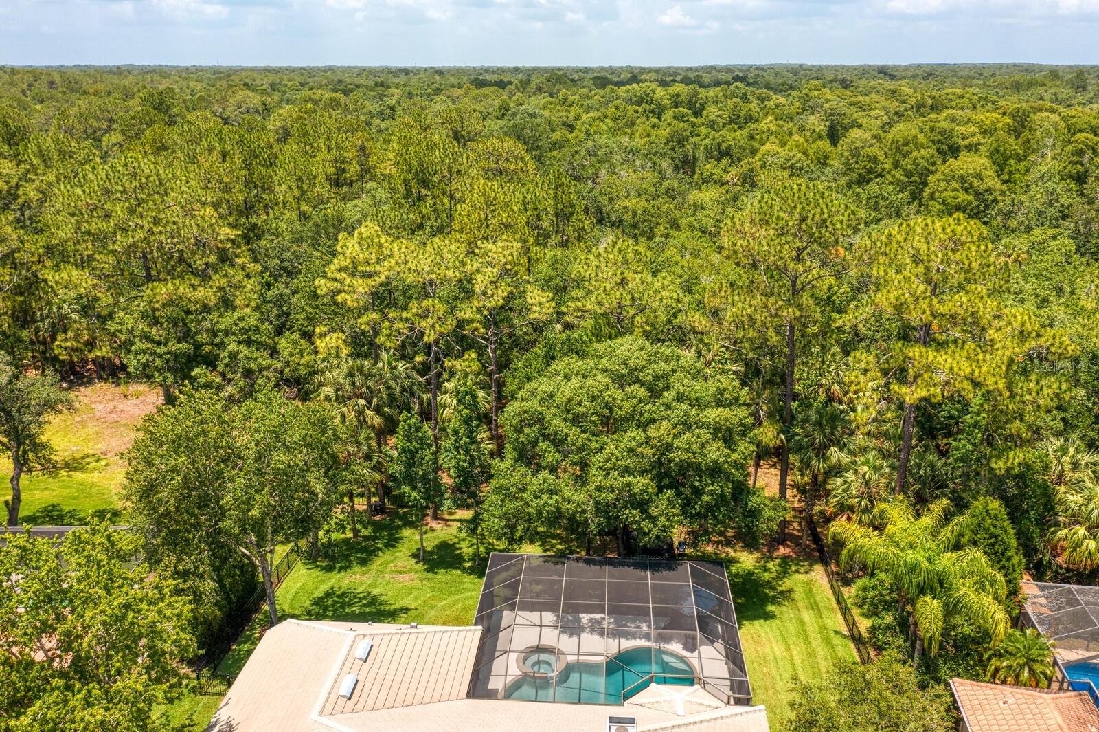 TAMPA PALMS AREA 4 PRCL 16 - Residential