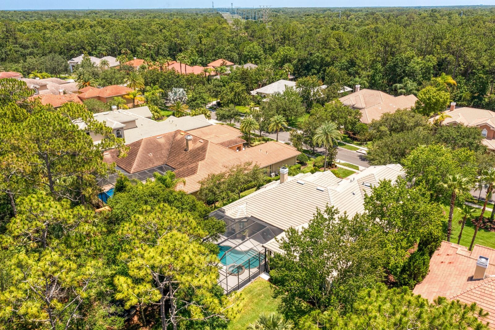 TAMPA PALMS AREA 4 PRCL 16 - Residential