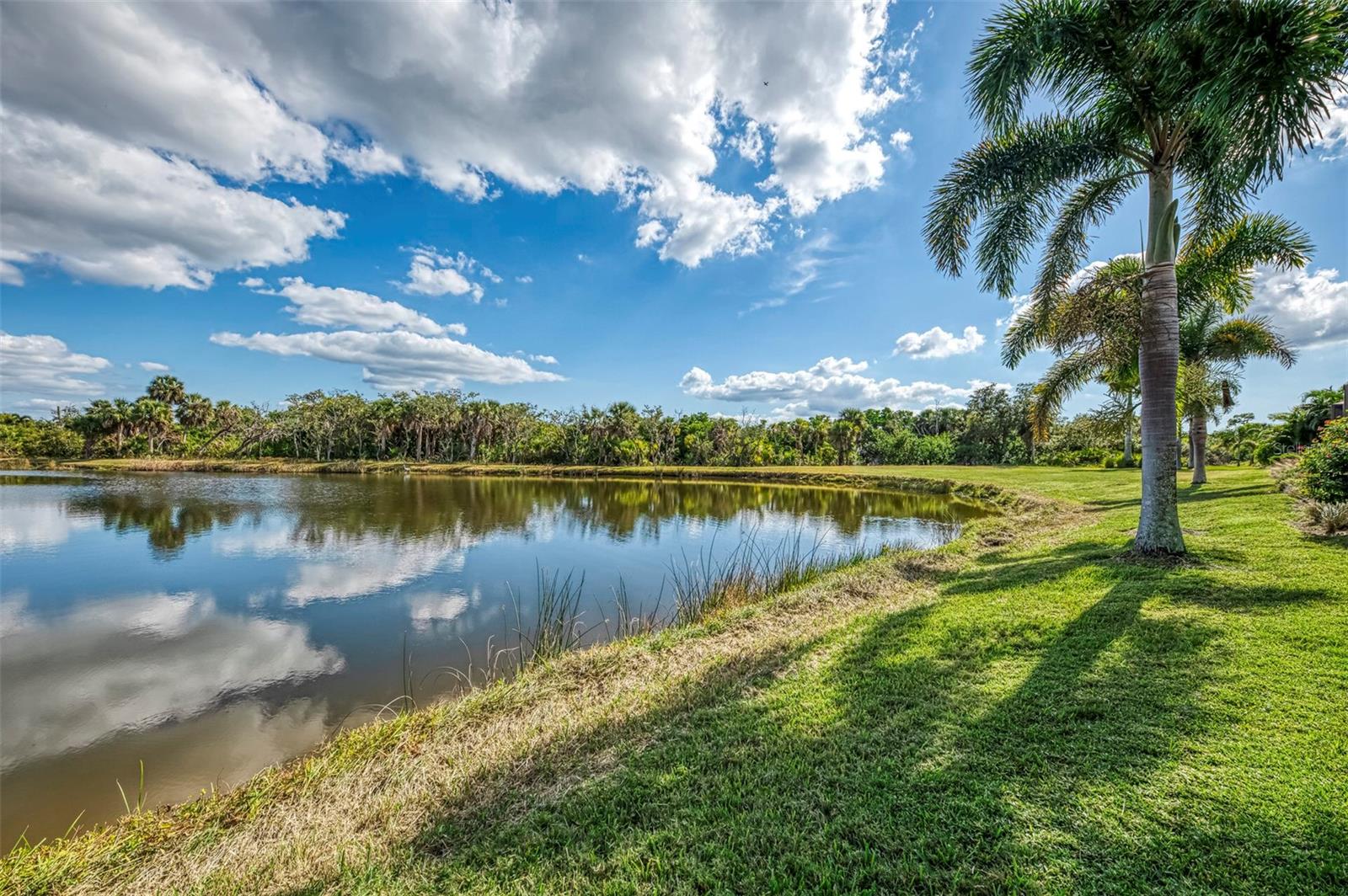 RIVERWOOD - Residential