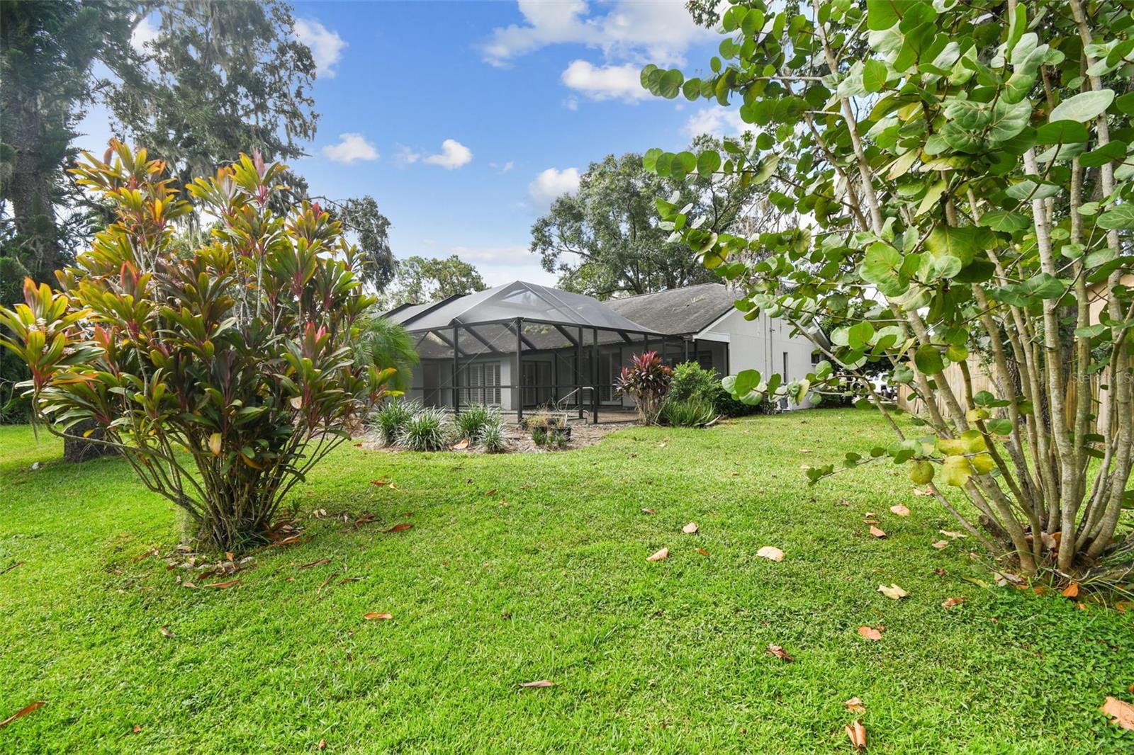 THE PADDOCKS PH II - Residential