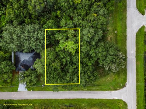 STARLING CT. POINCIANA FL 34759