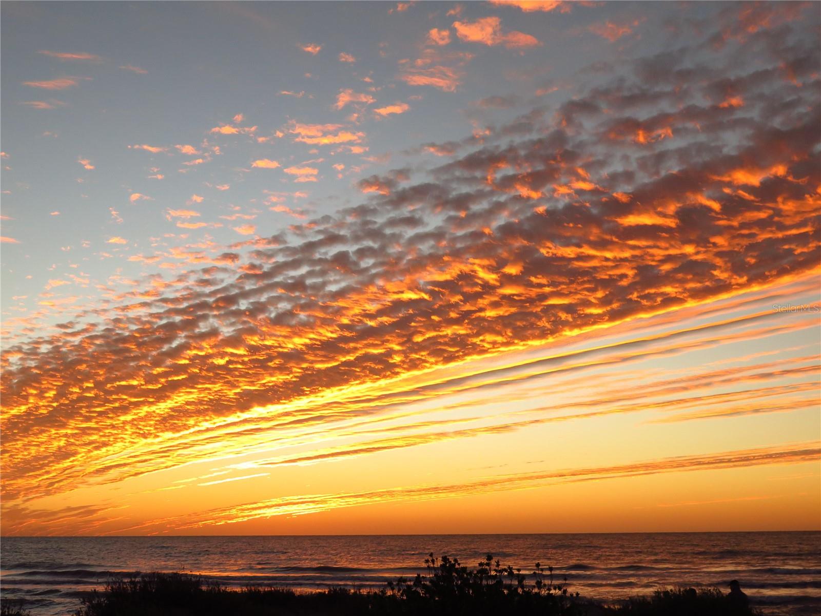 VENEZIA PARK SEC OF VENICE - Residential