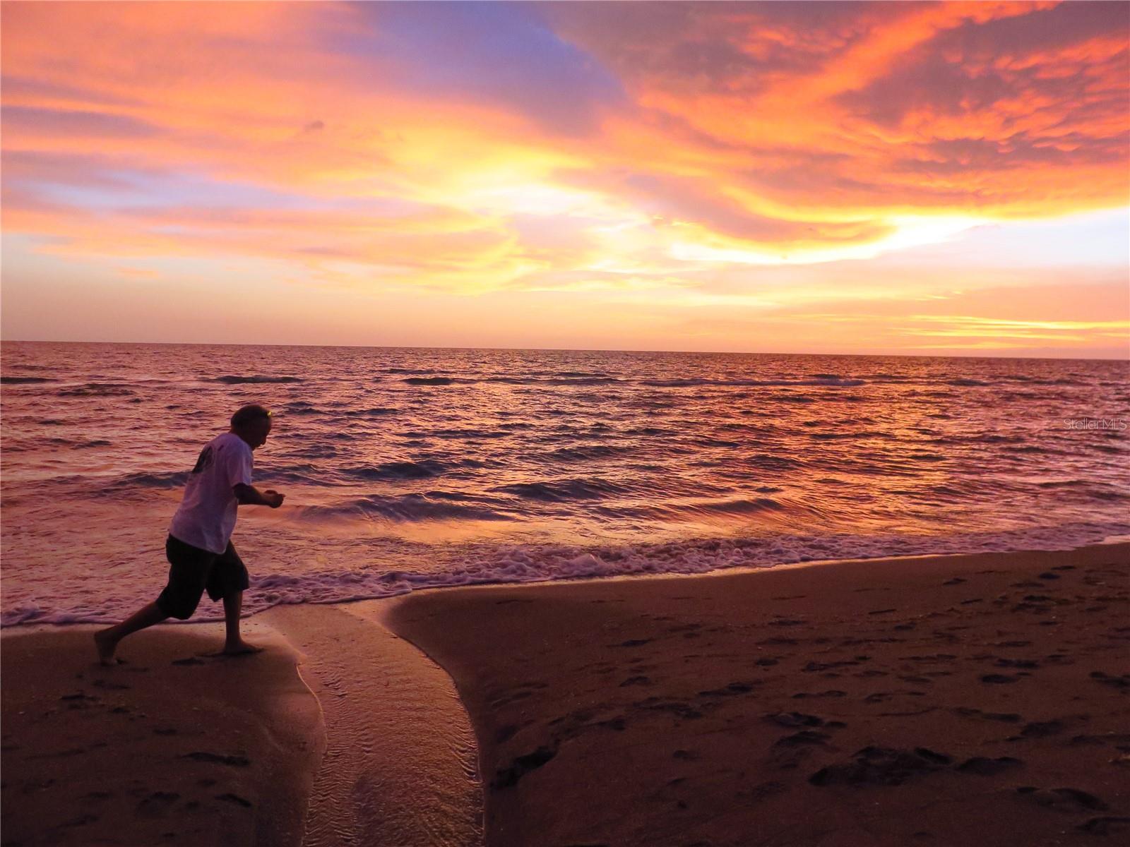 VENEZIA PARK SEC OF VENICE - Residential